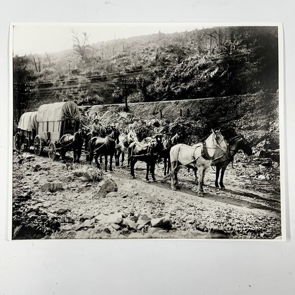 Oregon Freight Horse Team Covered Wagon Powerline Rocky Mountains Photo Reprint - Picture 1 of 1